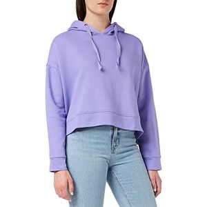 Teddy Smith S- Faby sweatshirt met capuchon voor dames, Persan-Mauve, XL