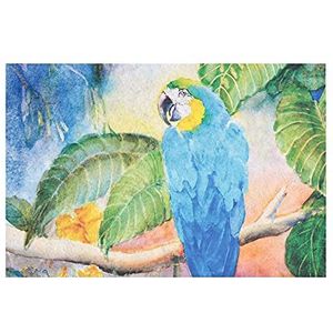 Vacchetti tapijt van papegaaien, rechthoekig, meerkleurig, middelgroot