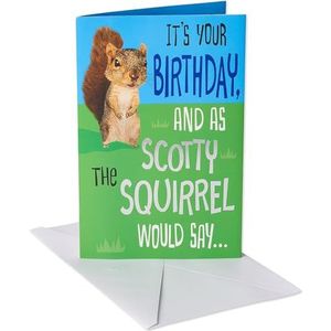 American Greetings Grappige eekhoorn verjaardagskaart met folie