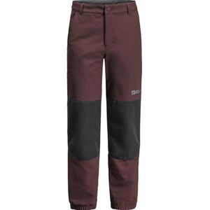 Jack Wolfskin Rascal Winter Pants K Trekkingbroek voor kinderen, uniseks, Boysenberry, 104