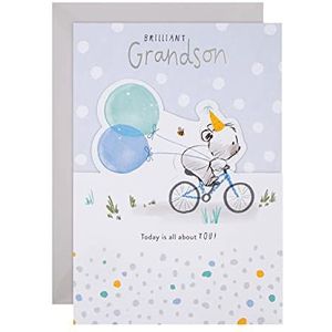 Hallmark Verjaardagskaart voor kleinzoon - Schattig gestanst geïllustreerd ontwerp
