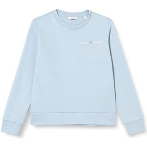 GANT Regular Printed Graphic C-Neck Sweatshirt voor dames, Dove Blue., M