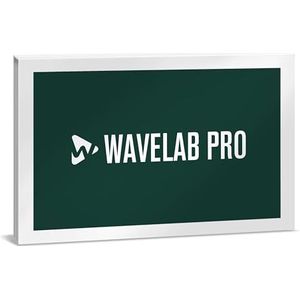 Steinberg WaveLab Pro 12 Mastering- en Audio Editing Software (optimalisatie, analyse en restauratie van audiobestanden, real-time effecten, intelligente stapelbewerking, audio-editor)