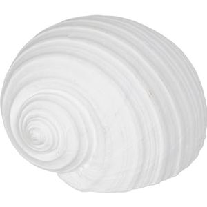 BigBuy Home Decoratieve figuur witte schelp 15 x 11 x 9 cm