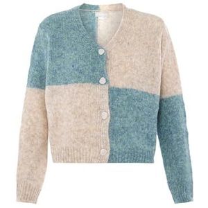Jalene Cardigan-jas voor dames van geruit kleurblok-gebreid met V-hals nylon blauw meerkleurig maat XL/XXL, Blauw meerkleurig., XL