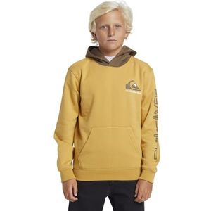 Quiksilver Logo – capuchontrui voor jongens van 8 tot 16 jaar, Herfstblad, 8 jaar