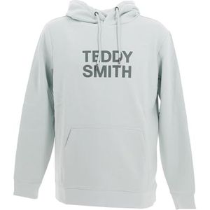 Teddy Smith Siclass Hoody Sweatshirt met capuchon voor heren, Stone Mint, L/Tall