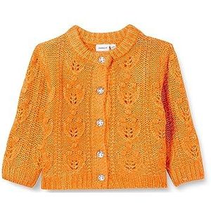 NAME IT Nmflemille Ls Knit Card gebreide jas voor meisjes, Harvest Pumpkin, 92 cm