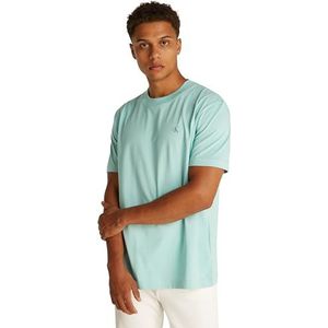 CK JEANS Heren GESCHILDERDE CALVIN KLEIN JEANS TEE J30J327523, Groen (Fresh Mint), XS, Groen (verse munt), XS