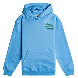 Quiksilver Grafische hoodie voor jongens en jongeren met capuchon (pak van 1)