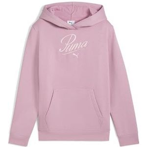 PUMA - Essentials Youth - Hoodie - Grijs - Fleece - Capuchon