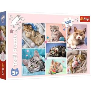 Trefl, Puzzel, In de wereld van de kat, 100 elementen, voor kinderen vanaf 5 jaar