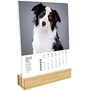 Drager Paris | Kalender op basis van de hond 2023 | 12 x 16,5 cm | Jaar 2023 | 7 talen | maandelijkse bureau-deco kalender | bamboe sokkel | FSC® papieren doos | plantaardige inkt