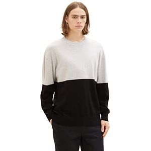 TOM TAILOR-denim Denim relaxte herentrui met kleurvlakken