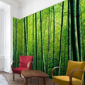 Apalis 94543 Behang vliesbehang bamboe fotobehang bamboe breed, vliesfotobehang wandbehang HxB: 255 x 384 cm groen