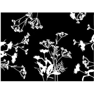 Pro tafelkleed 314326I wegwerptafelset van geperst papier, met bloemenpatroon, zwart en wit, formaat 30 x 40 cm, gemaakt in Frankrijk, 500 sets.