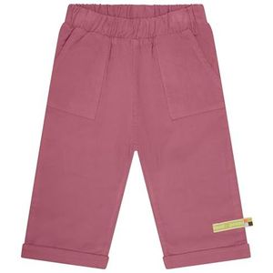 loud + proud Broek van corduroy, GOTS-gecertificeerd