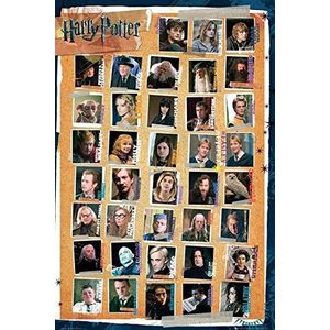 Unbekannt Harry Potter and The Deathly Hallows: deel 1 - Maxi Poster - 61cm x 91.5cm