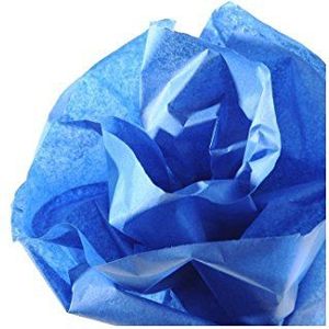 CANSON 200992665 zijdepapier, blauw, afmetingen: 0, 5 x 5, 0 M, 20 g/m²