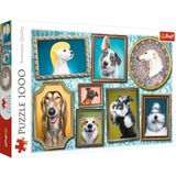 Trefl - Dog Gallery - Puzzle 1000 Elements - Dierenpuzzel, Voor Hondenliefhebbers, Doe-Het-Zelver, Creatief Vermaak, Leuke, Klassieke Puzzels Voor Volwassenen En Kinderen Vanaf 12 Jaar