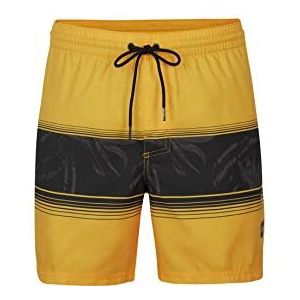 O'NEILL Cali Stripe Shorts voor heren (2 stuks)
