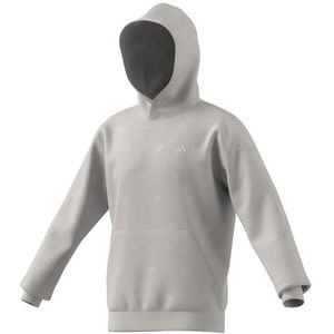 adidas Heren Seasonal Essentials Monogram Fleece Graphic Hoodie, grey two, L
