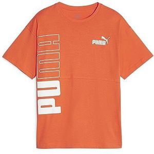 Puma T-shirt merk model Power Colorblock Tee B