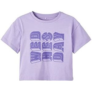 NAME IT Nkfbalone SS Top Box T-shirt met korte mouwen voor meisjes, Zand Verbena, 122-128