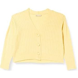 Peppercorn Dames Penelope Rib Cardigan Sweater, Pale Yellow, 50 Grote maten