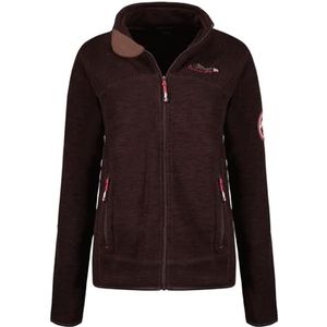 Geographical Norway Tyrell Lady - Dunne fleece voor dames, warm, ritssluiting, herfst, winter, lente, warm, dames, lange mouwen, kleding, bonttrui, zacht, comfortabel, Bruin, S