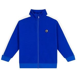 Petit Bateau Sweatshirt met ritssluiting voor kinderen en jongens, Blauw, 10 jaar
