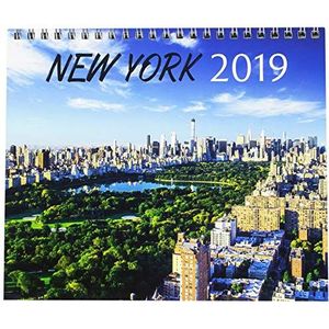 Grupo Erik Editores CS19002 Tafelkalender 2019 New York, 17 x 20 cm