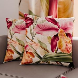 PETTI Artigiani Italiani - Kussenslopen - 50 x 50 cm - Microvezel - Set van 2