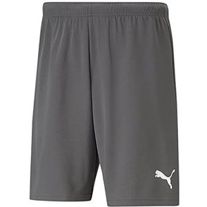 PUMA Voetbal teamRISE shorts heren grijs wit maat L