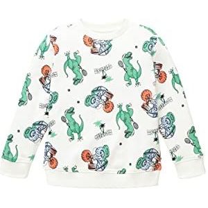 TOM TAILOR Jongens kinderen sweatshirt met dinosauruspatroon, 32249 - Dino Vacation Print, 92/98 cm