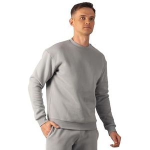 Carlheim Herensweatshirt Hudson Branded, stone grey, S