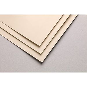Clairefontaine 696166C Paquet Papier Pastelmat - 5 Feuilles Carte Spéciale pour Pastels Secs - A3 29,7x42 cm 360g - Beige
