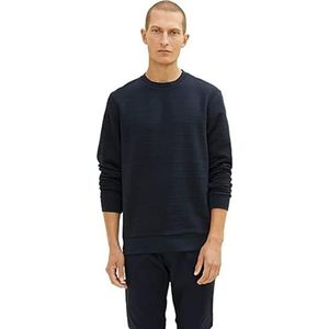 TOM TAILOR Uomini Sweatshirt met ronde hals 1034376, 10668 - Sky Captain Blue, L