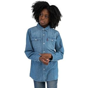 Levi'S Kids Barstow Western T-shirt voor jongens, 10-16 jaar, Vintage steen., 10 Jaar