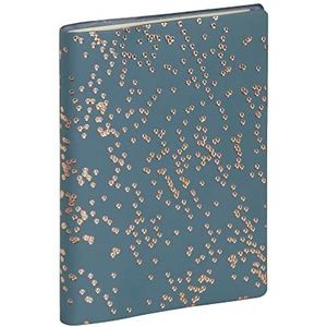 Exacompta 13643E – notitieboek adressen meline 9 x 13 cm