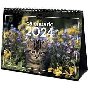 Finocam - Kalender 2024 tafelfoto's om te schrijven, januari 2024 - december 2024 (12 maanden) Spaanse katjes