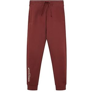 TOM TAILOR Jongens Joggingbroek voor kinderen met print 1033832, 14481 - Soft Burnt Red, 152