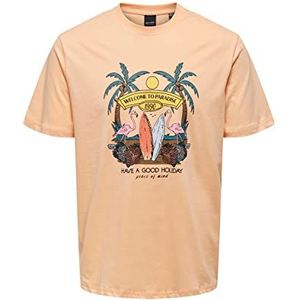 Name It Onsalberto Reg Summer Ss Tee voor heren, Peach Nectar, XS