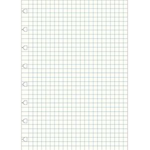 Filofax Navulling voor notebook A5 geruit notitiepapier