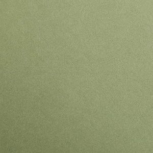 Clairefontaine 97970C verpakking (met 25 vellen tekenpapier Maya, DIN A1, 59,4 x 84 cm, 270 g, glad, ideaal voor droogtechniek en inlijsting), bladgroen