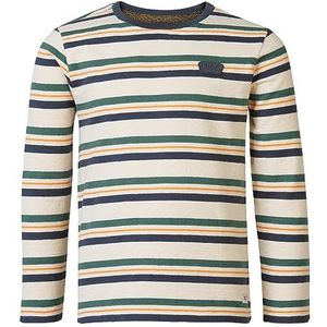 Noppies Jongens Boys Tee Winterville Long Sleeve Stripe T-shirt, asfalt - P524, 110 cm