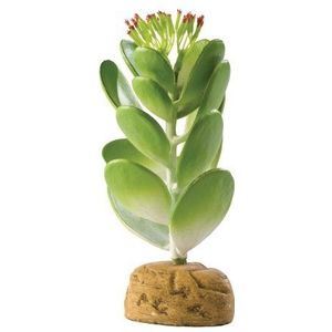 Exo Terra Jade Cactus Terrarium Plant