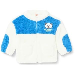 Koton Babyboys Shearling High Neck Zip Closure Applique Detail Color Block Sweatshirt, ecru(010), 6-9 Maanden
