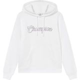 Champion - Legacy - Hoodie - Wit