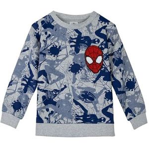 CERDÁ LIFE'S LITTLE MOMENTS Sweatshirt van geborsteld katoen, uniseks, voor kinderen, Grijs, 5 Jaar